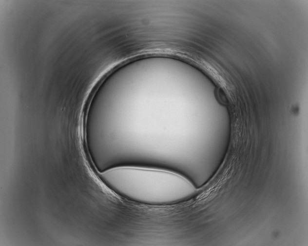X0000101151084200806270754