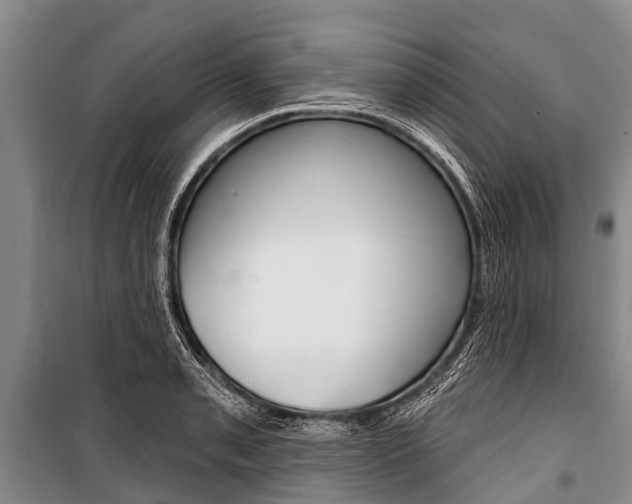 X0000101151085200806270754
