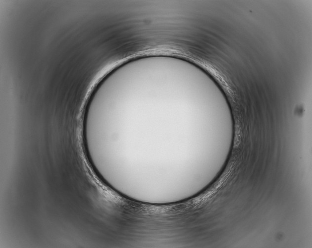 X0000101151086200806270754