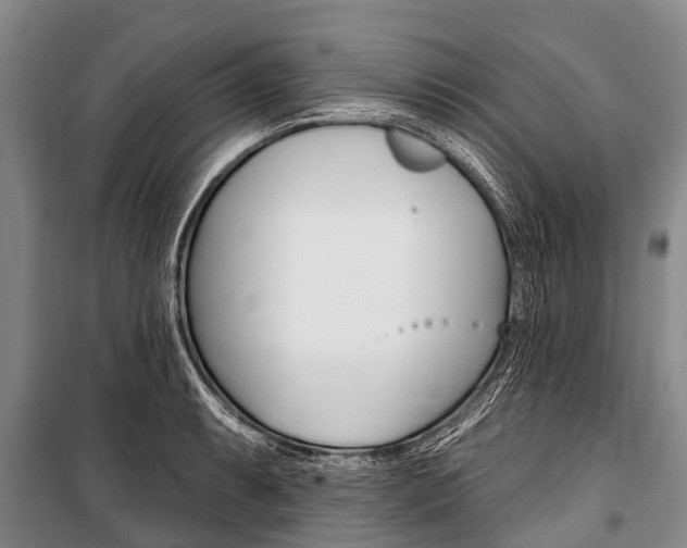 X0000101151087200806270754