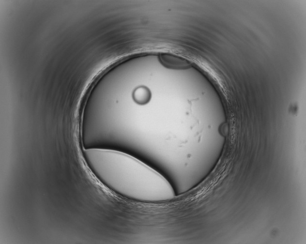 X0000101151088200806270754