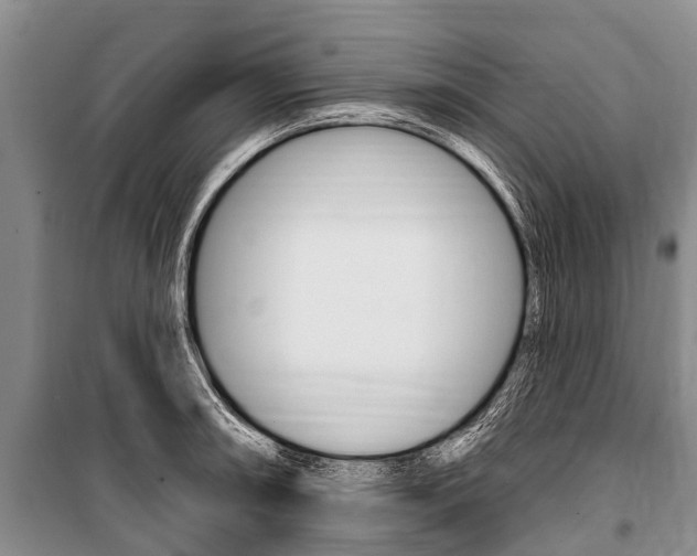 X0000101151090200806270754