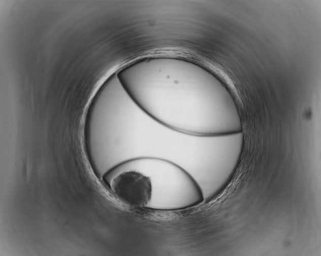 X0000101151091200806270754