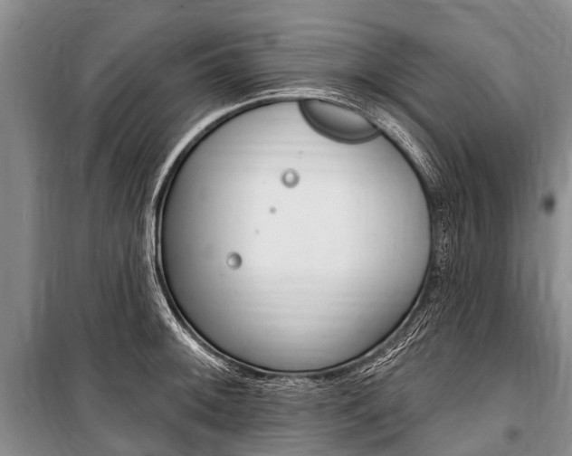 X0000101151092200806270754
