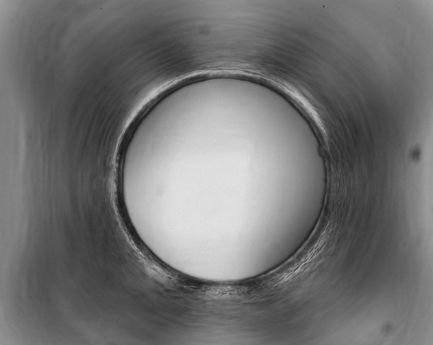 X0000101151093200806270754