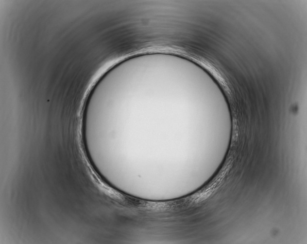X0000101151094200806270754
