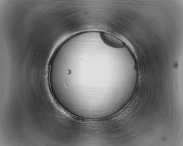 X0000101151096200806270754