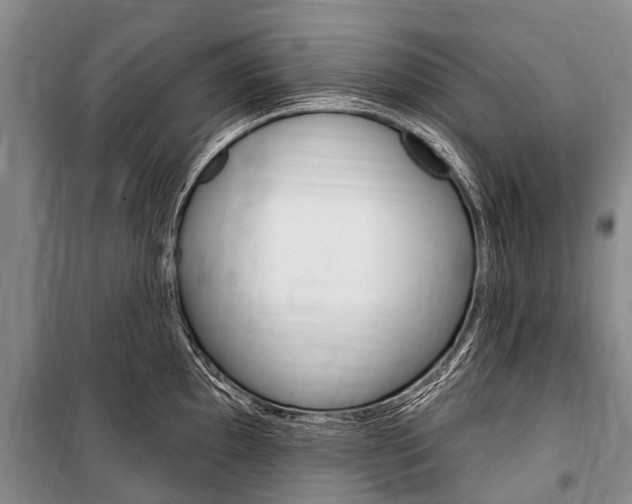 X0000101151097200806270754
