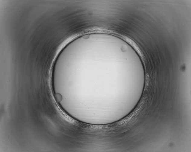 X0000101151098200806270754