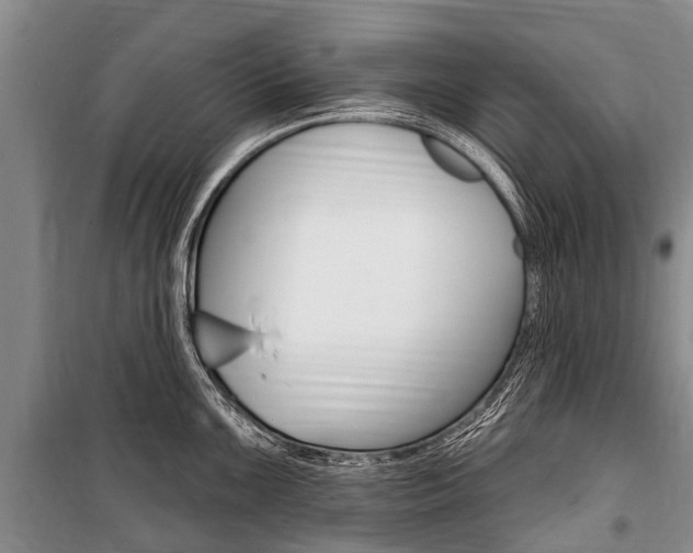 X0000101151099200806270754