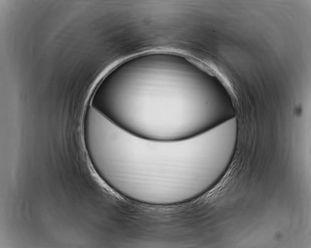 X0000101151100200806270754