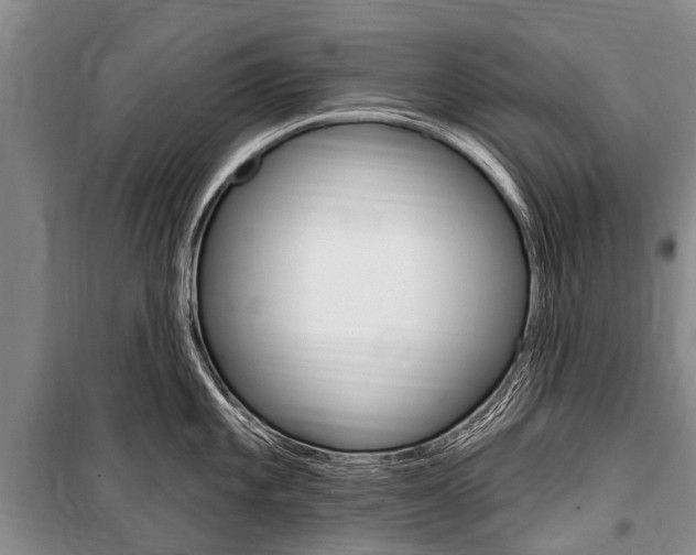 X0000101151101200806270754