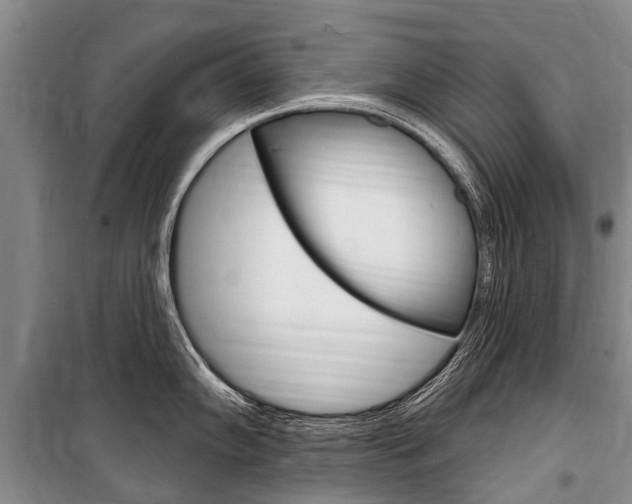 X0000101151102200806270754