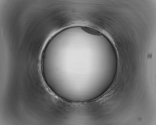 X0000101151104200806270754