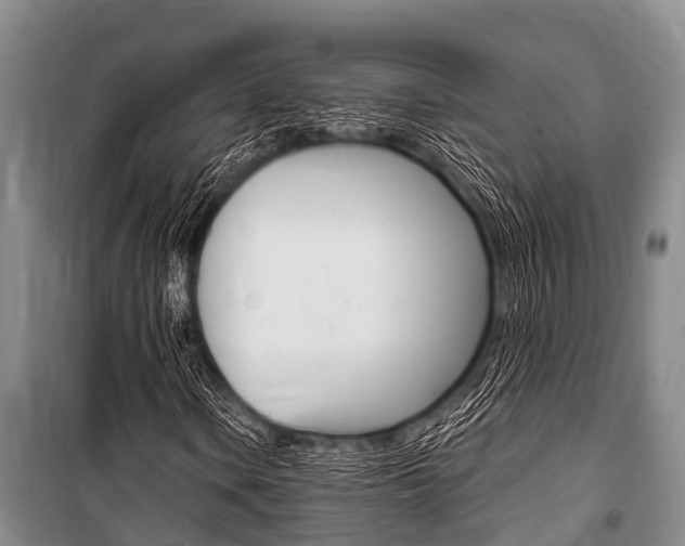 X0000101151106200806270753