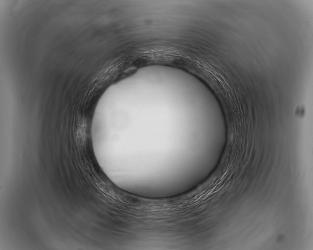 X0000101151108200806270753