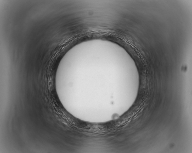 X0000101151109200806270753