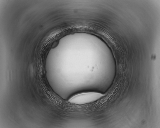 X0000101151111200806270753