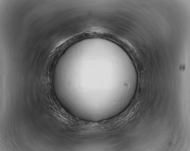 X0000101151112200806270753