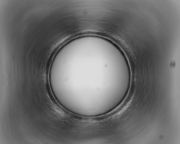 X0000101151113200806270753