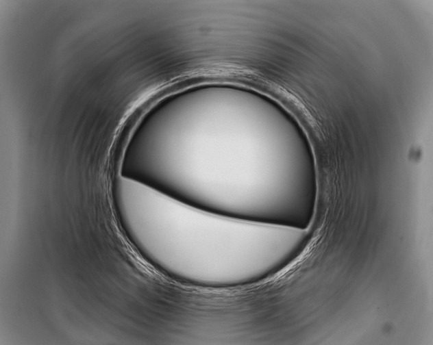 X0000101151114200806270753