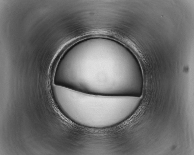 X0000101151116200806270753