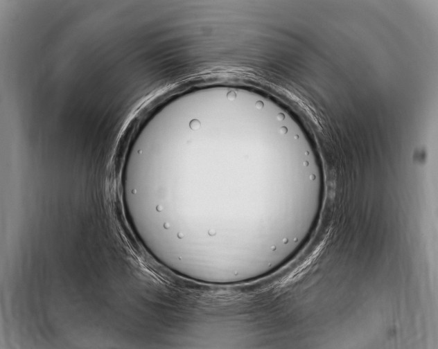 X0000101151117200806270753