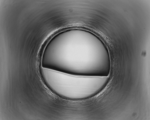 X0000101151118200806270753