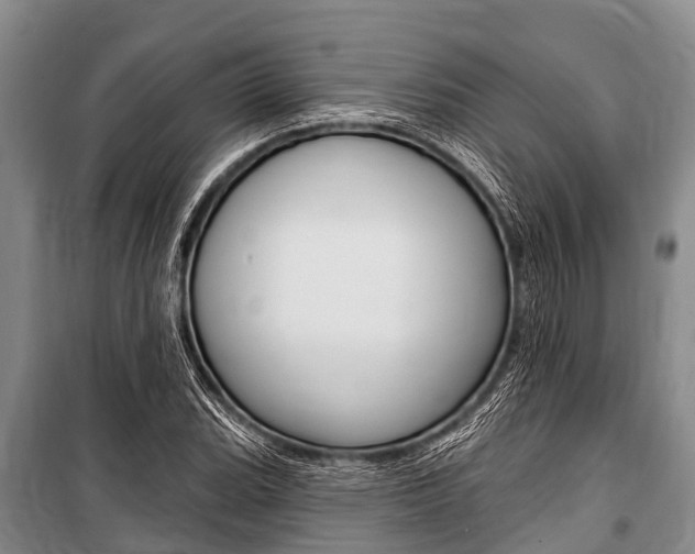 X0000101151119200806270753