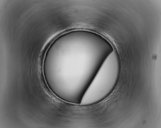 X0000101151120200806270753