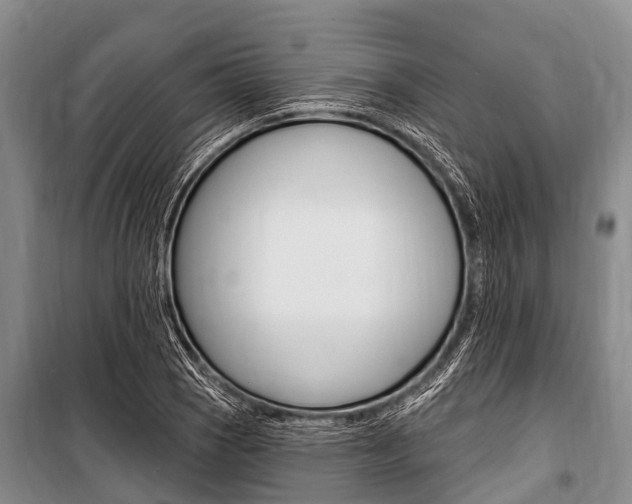 X0000101151121200806270753