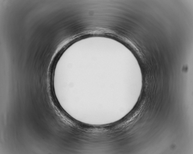 X0000101151122200806270753