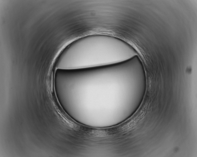 X0000101151123200806270753