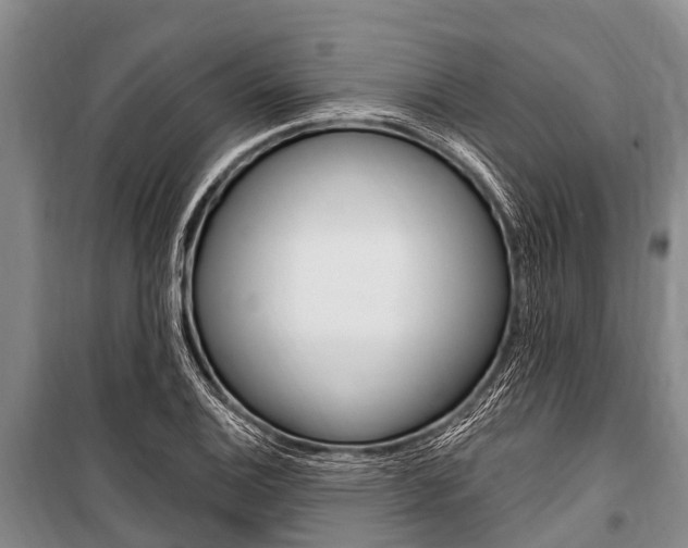 X0000101151124200806270753