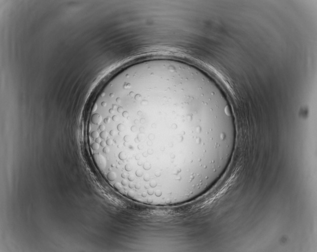 X0000101151125200806270753