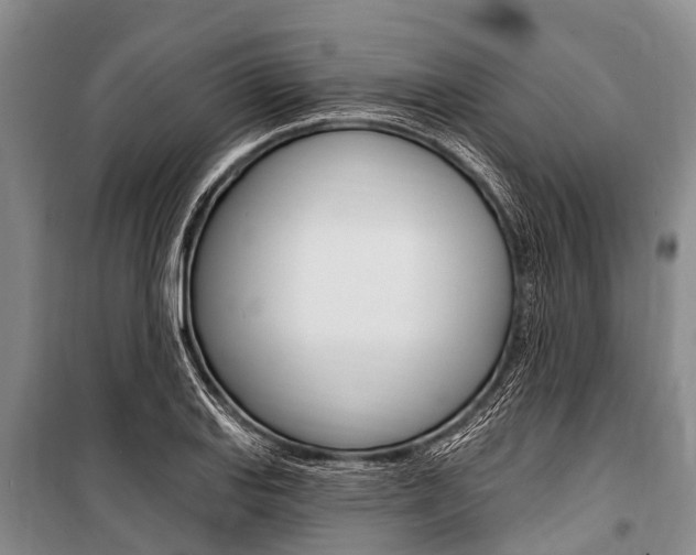 X0000101151127200806270753