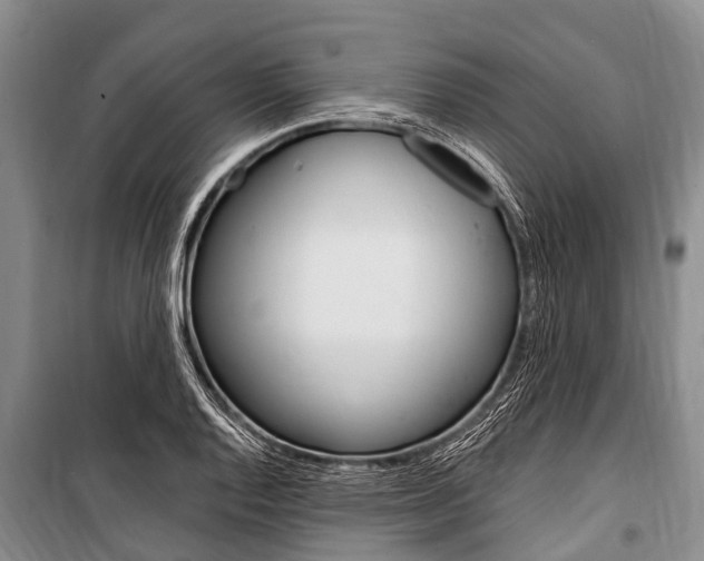 X0000101151128200806270753