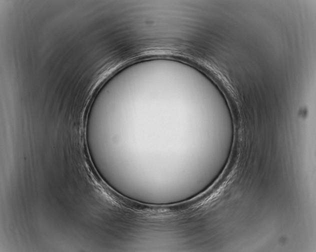 X0000101151129200806270753