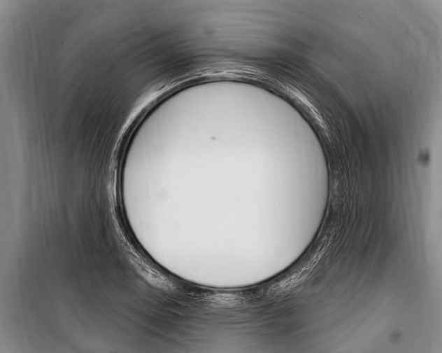 X0000101151130200806270753
