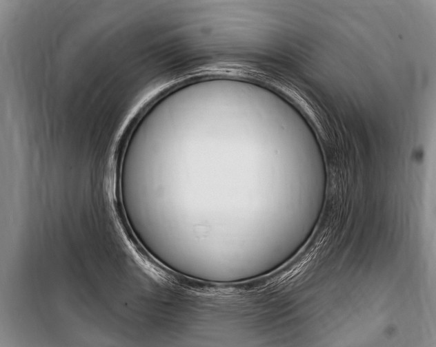 X0000101151131200806270753