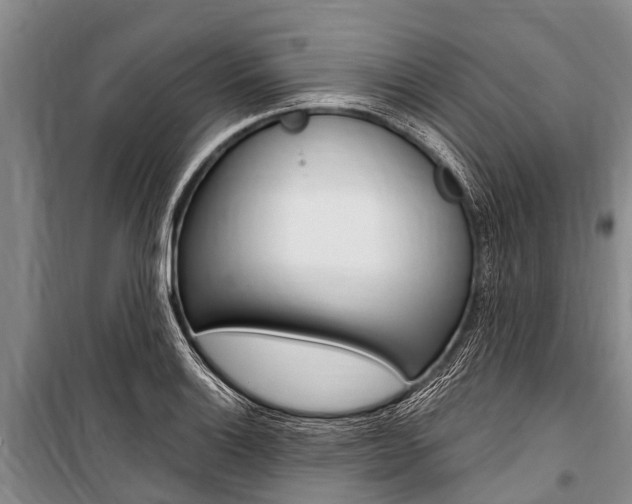 X0000101151132200806270753