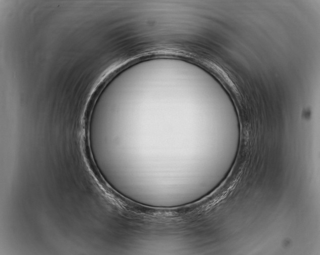 X0000101151133200806270753