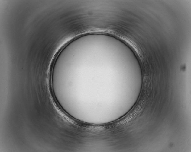 X0000101151135200806270753