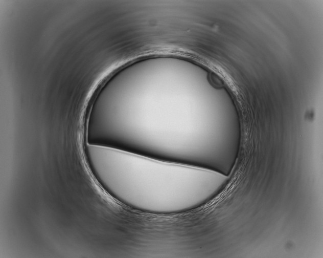 X0000101151136200806270753