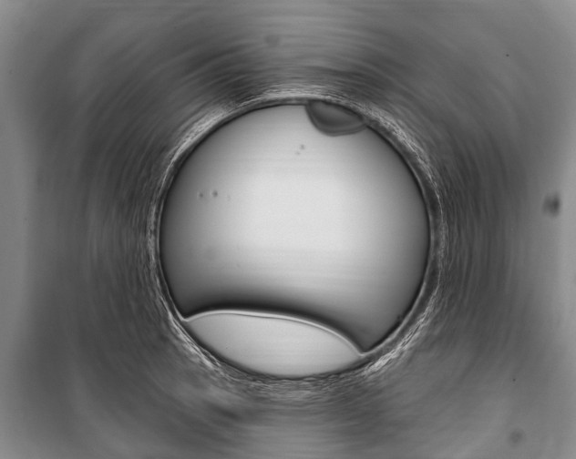 X0000101151137200806270753