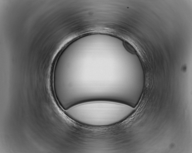 X0000101151139200806270753