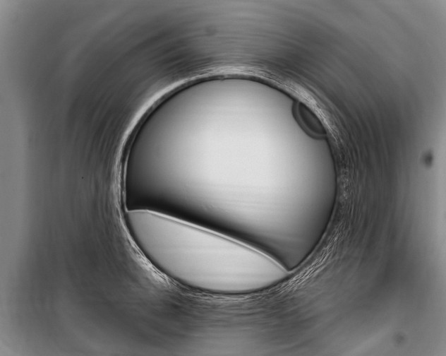 X0000101151140200806270753