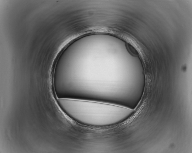 X0000101151141200806270754