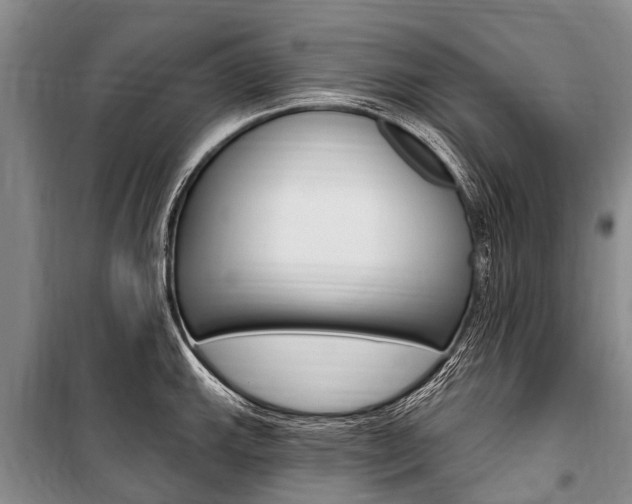 X0000101151143200806270754