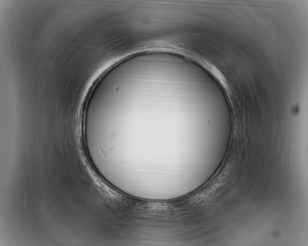 X0000101151144200806270754